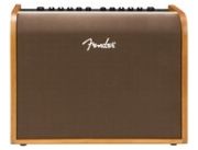 Fender Acoustic 100