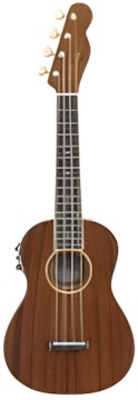 Fender Grace VanderWaal