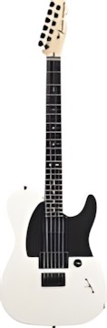 Fender Jim Root Telecaster