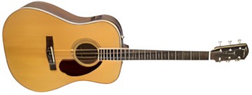 Fender PM-1 Standard