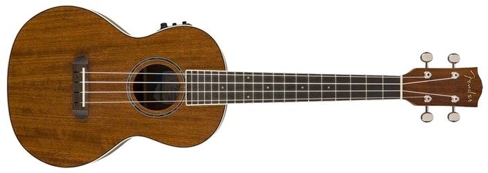 Fender Rincon