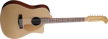 Fender Villager 12