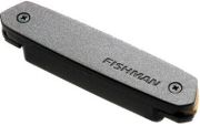 Fishman Neo-D Humbucker