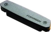 Fishman Neo-D SingleCoil
