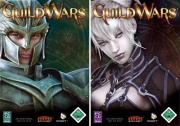 Flashpoint AG Guild Wars Standard Edition PC