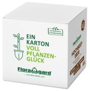 Floragard Bio Hochbeet-Erde in der Box 60 l Floragard Bio Hochbeet-Erde in der Box 60 l