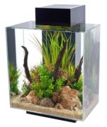 Fluval Edge II