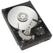 Fujitsu HDD SAS 300GB (S26361-F4005-L530)