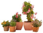 Gardena Micro-Drip-System Erweiterungsset Pflanztöpfe