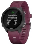 Garmin Forerunner 245