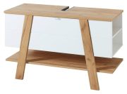 Germania GW-Novolino Waschbeckenunterschrank 8160 Germania GW-Novolino Waschbeckenunterschrank 8160