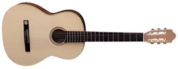 Gewa Pro Natura Silver 4/4
