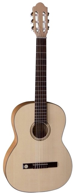 Gewa Pro Natura Gold 4/4