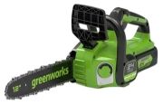 GreenWorks GD24CS30