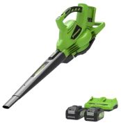 GreenWorks GD24X2BVK4X