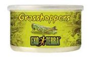 Hagen Exo Terra Grasshoppers