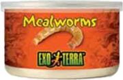 Hagen Exo Terra Mealworms