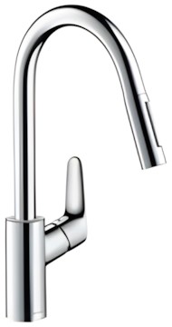 Hansgrohe Focus 31815000