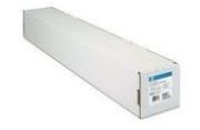 HP C6030C