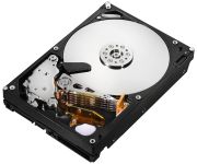Hitachi Ultrastar A7K2000 1TB (HUA722010CLA330)