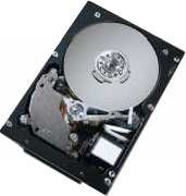 Hitachi Ultrastar 10K300 73GB (HUS103073FL3600)