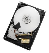 Hitachi Ultrastar 7K4000 4TB (HUS724040ALE640)