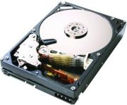Hitachi Ultrastar A7K1000 500GB Hitachi Ultrastar A7K1000 500GB