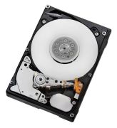 Hitachi Ultrastar C10K900 300GB (HUC109030CSS600)