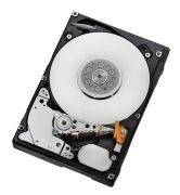 Hitachi Ultrastar C10K900 900GB (HUC109090CSS600)