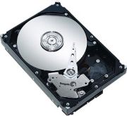HP SAS Hot Plug Hard Drive 1TB (461137-B21)
