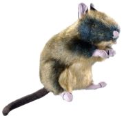 Hunter Hundespielzeug Wildlife Ratte M