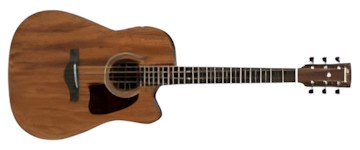 Ibanez AW54CE