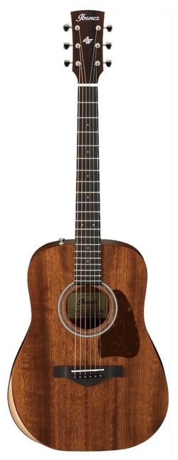 Ibanez AW54JR