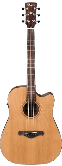 Ibanez AW65ECE