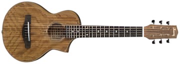 Ibanez EWP14WB