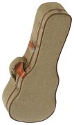 Ibanez FS40UC