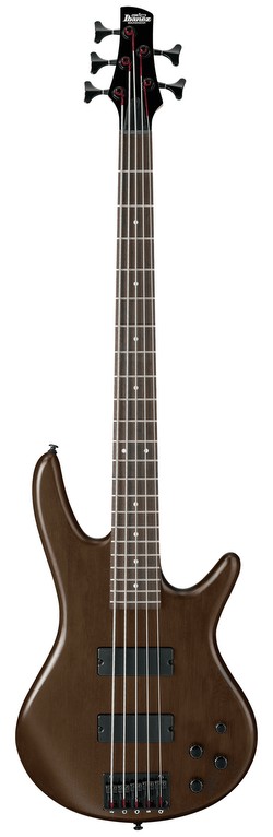 Ibanez GSR205B-WNF