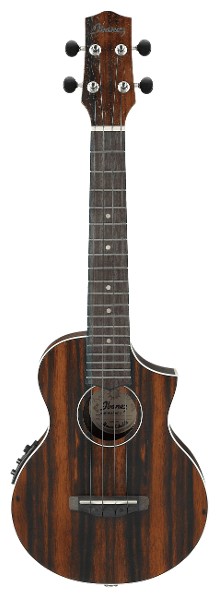 Ibanez UEW13MEE-DBO