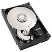 IBM 1TB (42D0777)