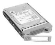 IBM 2TB (42D0782)