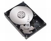 IBM 500GB (42D0752)