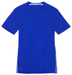 Icebreaker Anatomica Short Sleeve Crewe Icebreaker Anatomica Short Sleeve Crewe