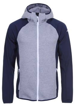 Icepeak Danfort