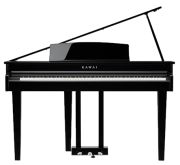 Kawai DG-30