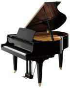 Kawai GL-30
