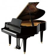 Kawai GL-50