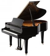 Kawai GX-2