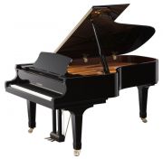 Kawai GX-6