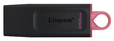 Kingston DataTraveler Exodia 256GB