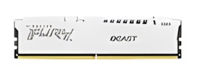 Kingston Fury Beast DDR5-6000 32GB (KF560C36BWE-32) Kingston Fury Beast DDR5-6000 32GB (KF560C36BWE-32)